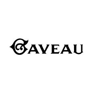 logo-sallegaveau